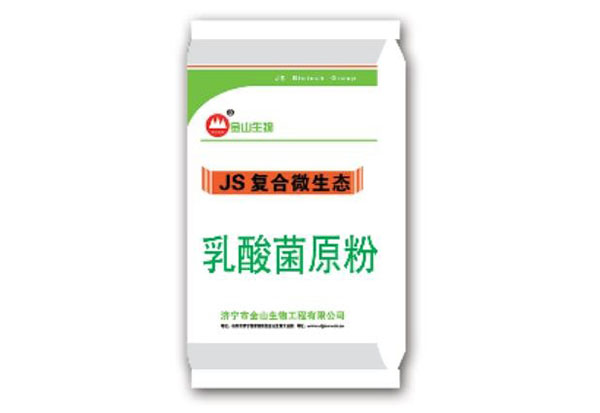 乳酸菌原粉