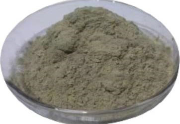 放线菌（细黄链霉菌）