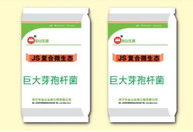 巨大芽孢杆菌