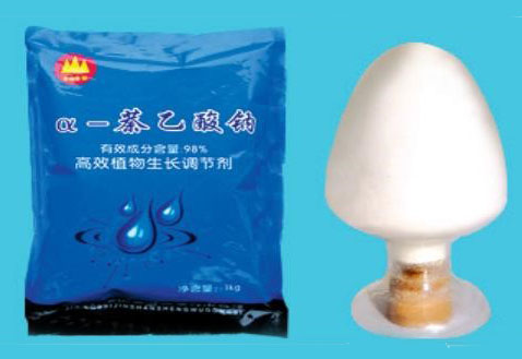 高纯度α萘乙酸钠98%