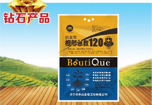 根部急救120