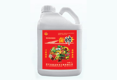 菌帅 