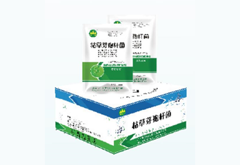 枯草芽孢杆菌
